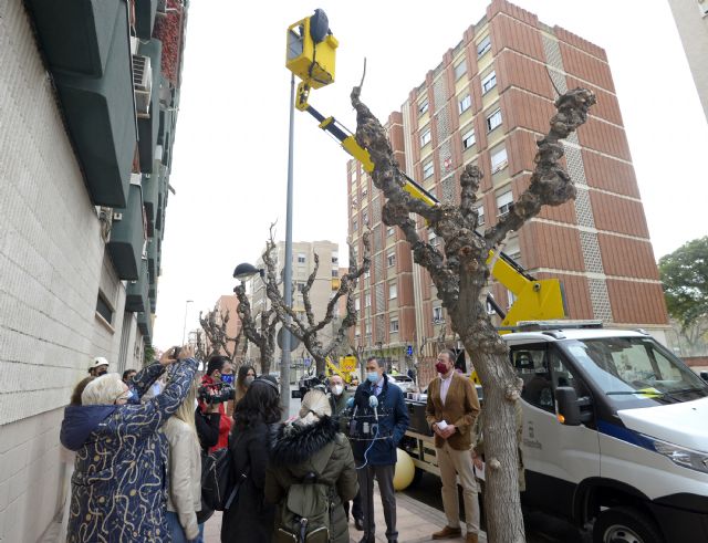 El municipio dejará de emitir casi 20 millones de kilos de CO2 a la atmósfera gracias al nuevo alumbrado de bajo consumo - 3, Foto 3