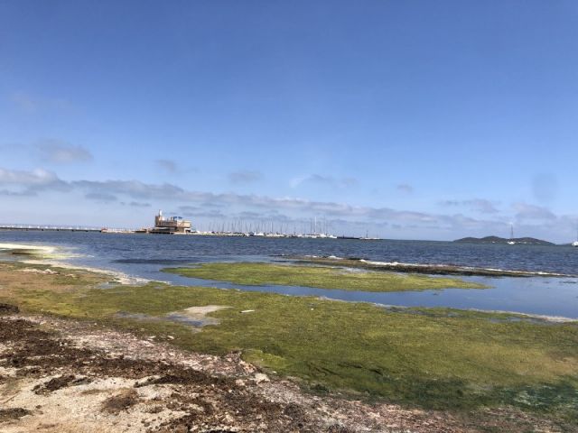 MC: Arroyo y Castejón convierten las playas de Cartagena en lugares inhóspitos y sucios - 2, Foto 2