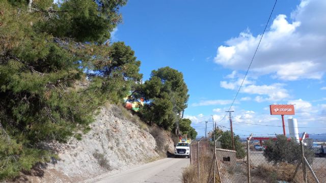 Puerto Lumbreras lucha contra la procesionaria en pinos del perímetro del casco urbano - 2, Foto 2