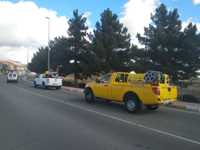 Puerto Lumbreras lucha contra la procesionaria en pinos del perímetro del casco urbano - 3, Foto 3
