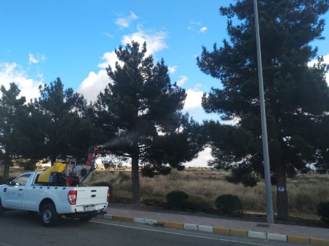 Puerto Lumbreras lucha contra la procesionaria en pinos del perímetro del casco urbano - 4, Foto 4
