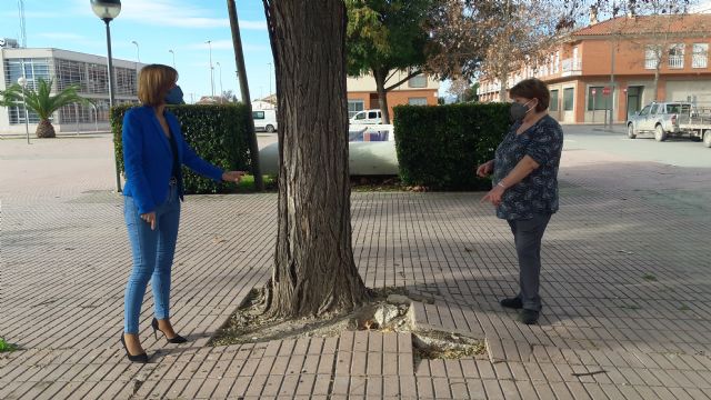 Vecinos de Tercia denuncian el abandono que sufren en la pedanía durante los últimos dos años y medio: no se realiza ni el mantenimiento más básico - 2, Foto 2