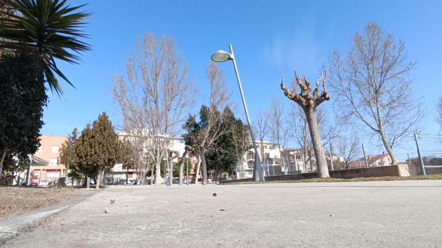 Adjudicadas las obras para la creación de una pista de skate en Puerto Lumbreras - 3, Foto 3