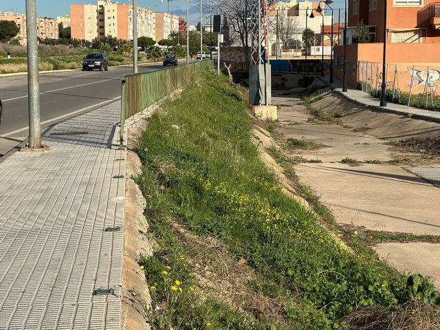 MC exige actuaciones ante los problemas de salubridad, seguridad y limpieza junto al colegio San Vicente de Paúl - 3, Foto 3