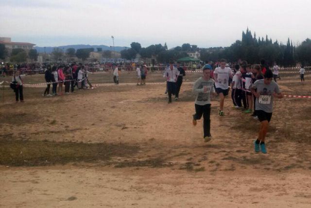 El XXXI Cross Escolar torreño fue una gran fiesta del deporte con más de 1.200 atletas - 1, Foto 1
