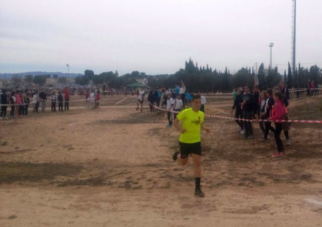 El XXXI Cross Escolar torreño fue una gran fiesta del deporte con más de 1.200 atletas - 3, Foto 3