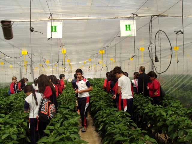 Medio Ambiente lleva a los escolares a conocer la Estación depuradora y el Centro Tecnológico de El Mirador para que conozcan más sobre la gestión del agua - 2, Foto 2
