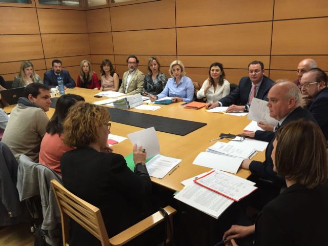 La Comisión de Vigilancia de la Contratación encarga nuevos informes sobre el cumplimiento de Tribugest - 1, Foto 1