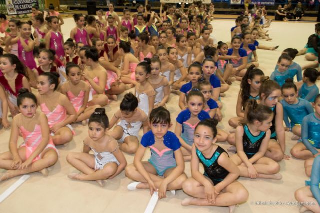 El Pabellon Central se llena de brillos y luces con la segunda parte de la Competicion Escolar de Gimnasia Ritmica - 1, Foto 1