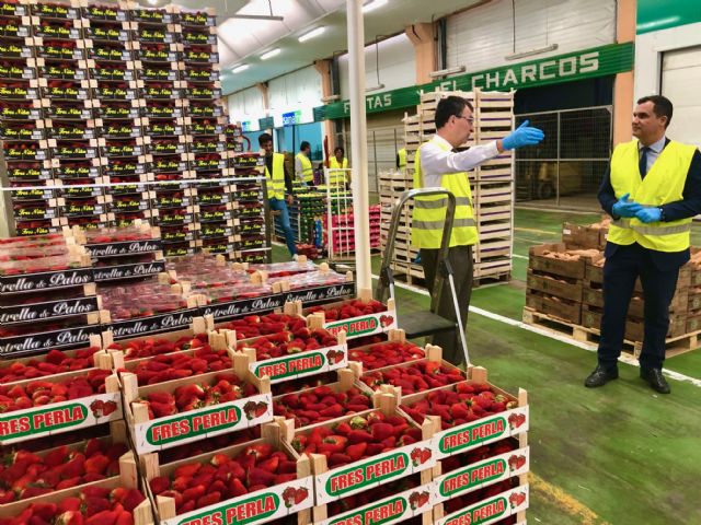 MercaMurcia mantiene su actividad habitual y garantiza el suministro de alimentos frescos - 3, Foto 3