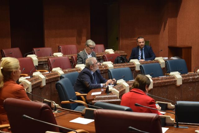 La Asamblea Regional suspende su actividad durante quince días por el decreto de alarma - 1, Foto 1