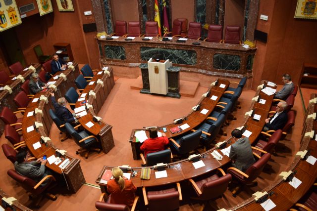 La Asamblea Regional suspende su actividad durante quince días por el decreto de alarma - 2, Foto 2