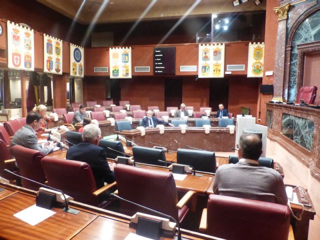 La Asamblea Regional suspende su actividad durante quince días por el decreto de alarma - 3, Foto 3