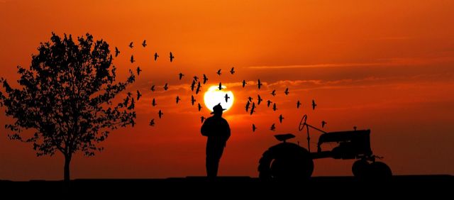 Agricultores y ganaderos seguirán trabajando para que no haya problemas en el suministro de alimentos durante esta crisis - 1, Foto 1