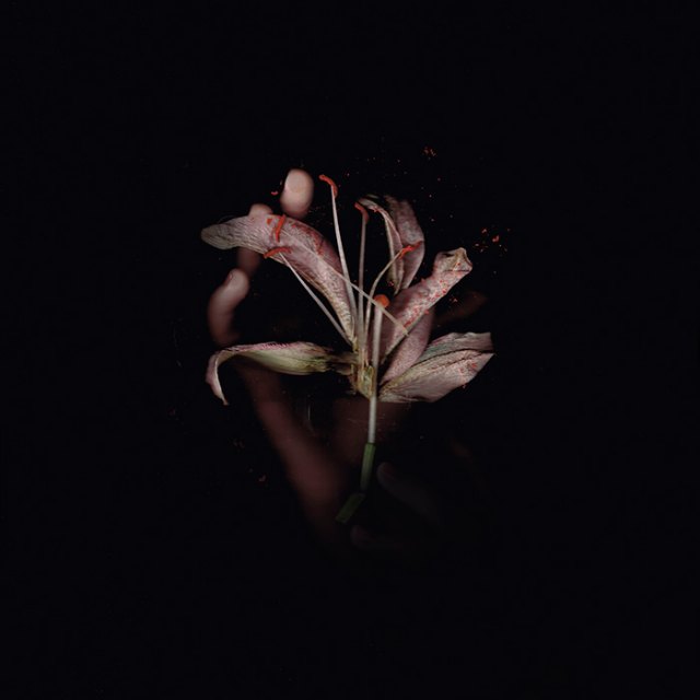 Un baile de luz y formas. Daniel Blacksmith estrena videoclip - 2, Foto 2