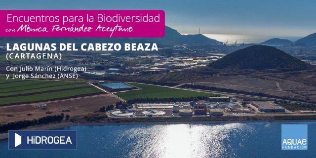 Evolución verde de las lagunas del Cabezo Beaza, en Cartagena - 1, Foto 1