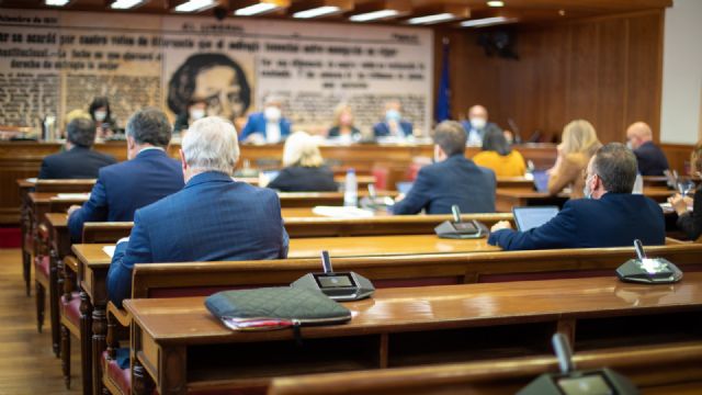 VOX denuncia que el PSOE aproveche una iniciativa sobre prevención de accidentes laborales para «pasar su rodillo ideológico» - 1, Foto 1