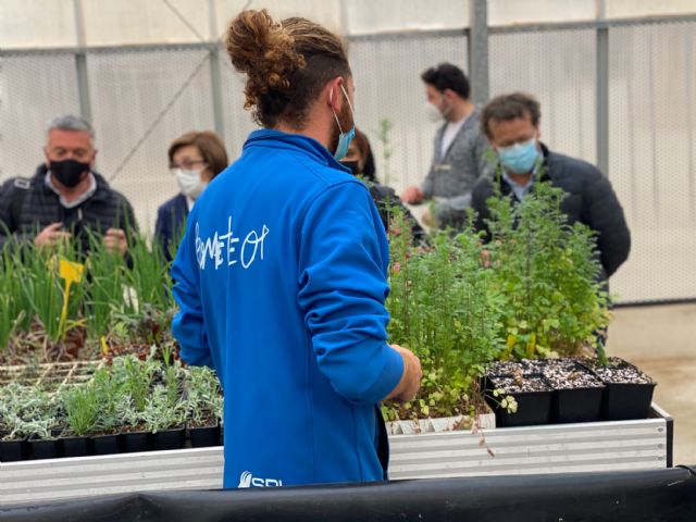 El invernadero de la Biblioteca florece con Prometeo - 1, Foto 1