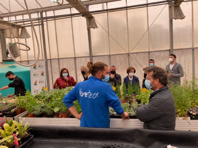 El invernadero de la Biblioteca florece con Prometeo - 3, Foto 3