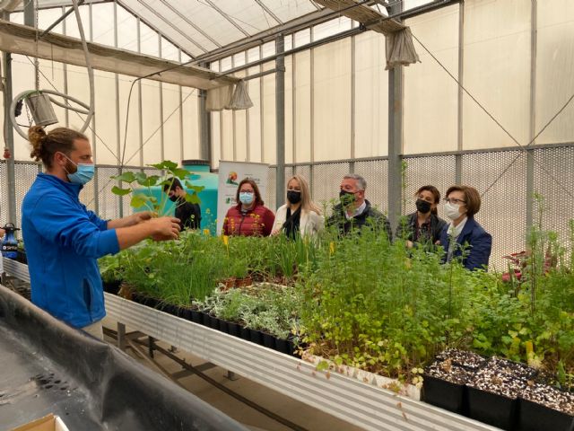 El invernadero de la Biblioteca florece con Prometeo - 4, Foto 4