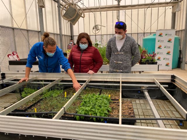 El invernadero de la Biblioteca florece con Prometeo - 5, Foto 5