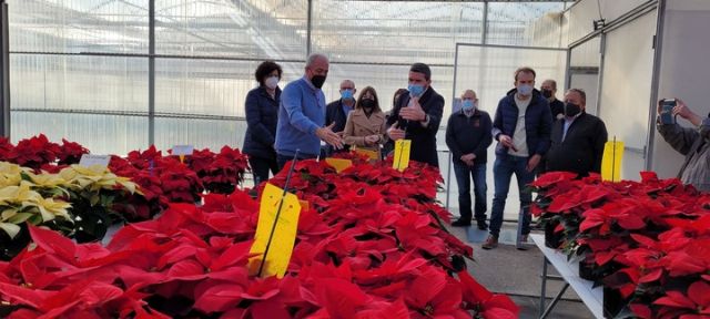 La Consejería de Educación concede la implantación del módulo de Formación Profesional Básica de Agro-jardinería y composiciones florales en el IES Rambla de Nogalte - 1, Foto 1