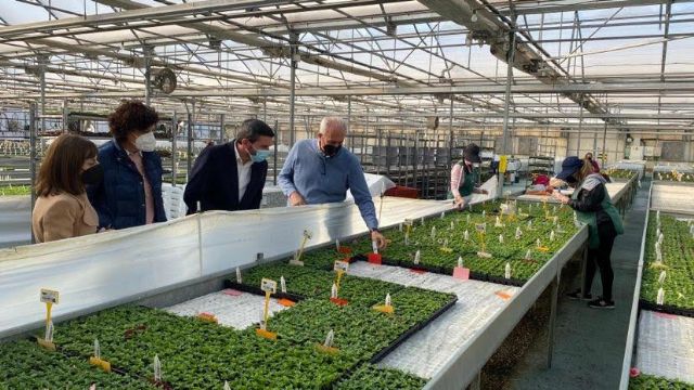 La Consejería de Educación concede la implantación del módulo de Formación Profesional Básica de Agro-jardinería y composiciones florales en el IES Rambla de Nogalte - 2, Foto 2