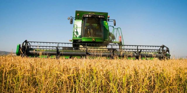 Nespresso dona más de 1.300 toneladas de arroz a los bancos de alimentos a través del reciclaje de sus cápsulas - 2, Foto 2