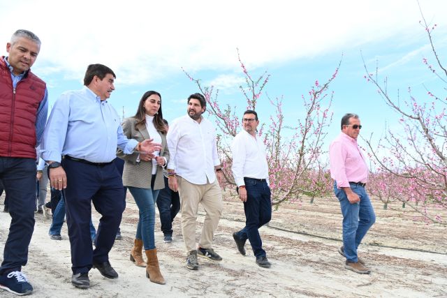 La Región de Murcia es la segunda provincia española que más exporta fruta de hueso - 1, Foto 1