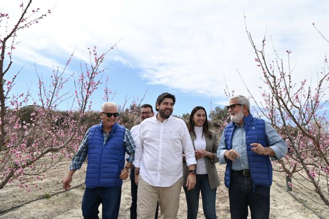 La Región de Murcia es la segunda provincia española que más exporta fruta de hueso - 2, Foto 2