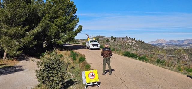 La Dirección General de Patrimonio Natural lleva a cabo un tratamiento fitosanitario contra la procesionaria de pino en el Cabezo de la Jara - 4, Foto 4