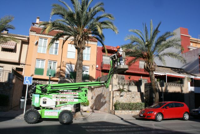 They carry out pruning and maintenance of the population of palm trees on public roads, and parks and gardens of the population, Foto 3