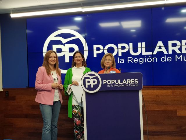 Borrego: Gracias al crecimiento económico el PP ha hecho los presupuestos más sociales de la historia - 1, Foto 1