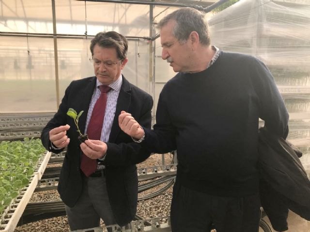 La Región de Murcia lidera la producción nacional de plantas hortícolas con casi 5.000 millones al año - 1, Foto 1