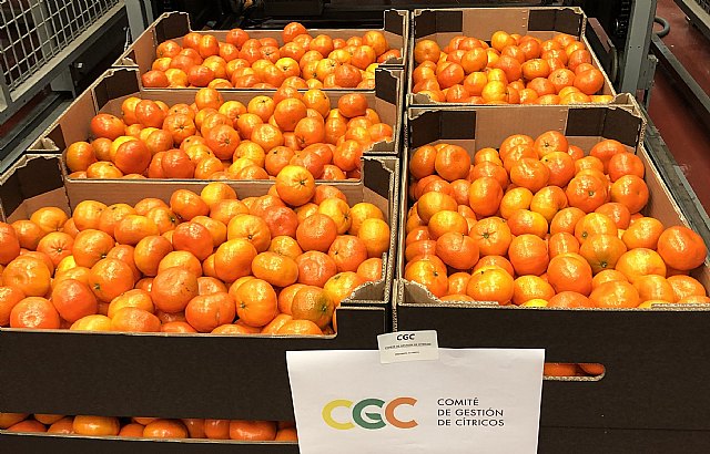 El CGC dona 40.000 euros y 5 toneladas de mandarinas a entidades caritativas para aliviar la crisis del Covid-19 - 1, Foto 1