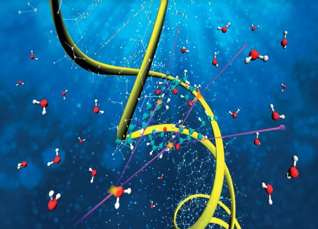 La UMU desarrolla modelos físicos más precisos para describir el dañado del ADN durante terapias contra el cáncer - 1, Foto 1