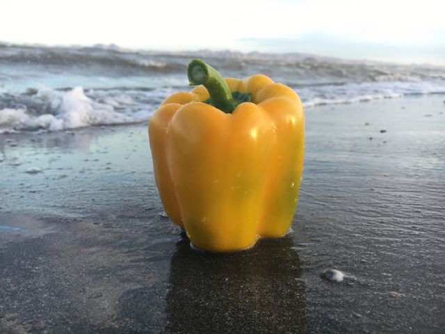 Semillas Fitó y Proexport convocan el II Concurso fotográfico #VitamínateconPimiento - 2, Foto 2