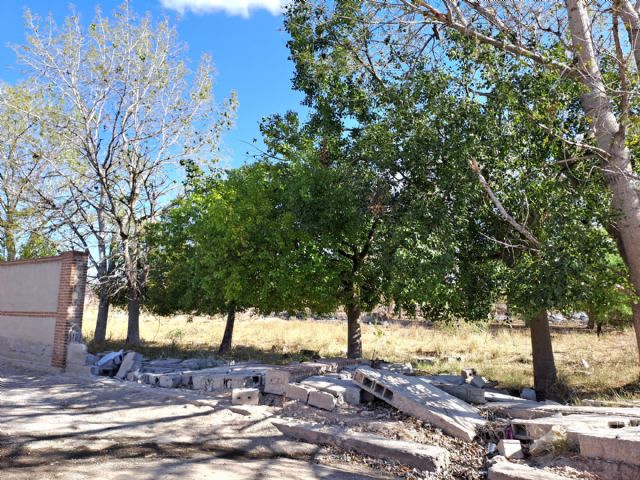 Denuncian que el Cementerio, con tapias derrumbadas meses y meses, está abierto y desprotegido - 2, Foto 2