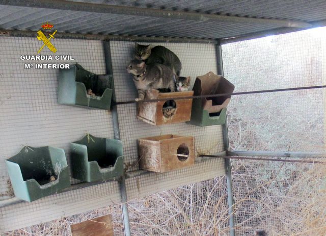 La Guardia Civil investiga a dos personas por delitos de abandono y maltrato animal - 1, Foto 1