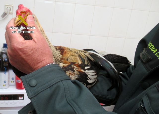 La Guardia Civil investiga a dos personas por delitos de abandono y maltrato animal - 4, Foto 4
