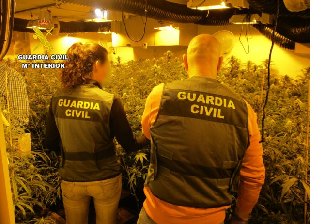 La Guardia Civil desarticula en San Javier un grupo delictivo dedicado al cultivo ilícito de marihuana - 1, Foto 1