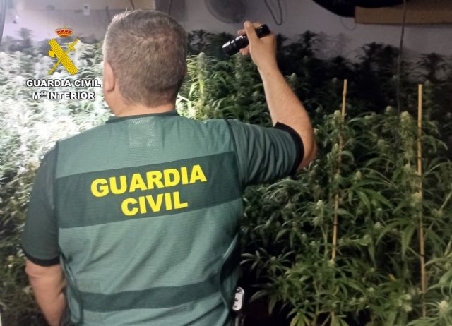 La Guardia Civil desarticula en San Javier un grupo delictivo dedicado al cultivo ilícito de marihuana - 2, Foto 2
