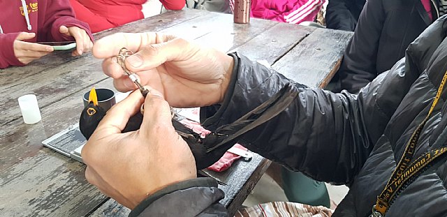 Alumnos del Máster Universitario en Áreas Protegidas, Recursos Naturales y Biodiversidad de la UMU hacen sus prácticas en Fuente de Columbares - 2, Foto 2