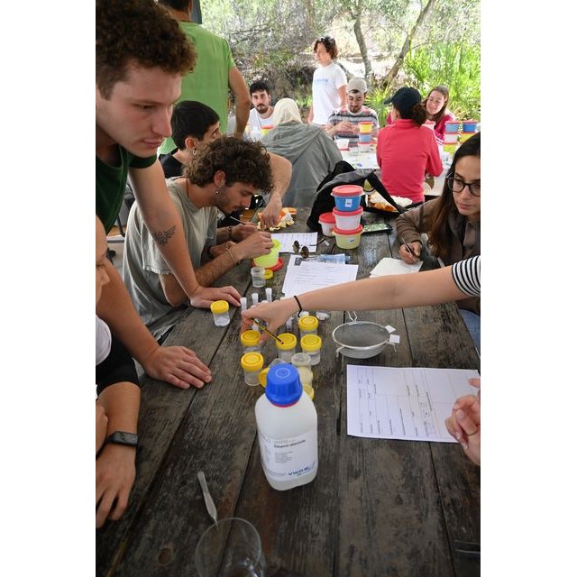 Alumnos del Máster Universitario en Áreas Protegidas, Recursos Naturales y Biodiversidad de la UMU hacen sus prácticas en Fuente de Columbares - 4, Foto 4