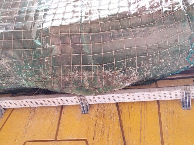 El Partido Cantonal pide la limpieza de excrementos y basura en los edificios municipales abandonados - 2, Foto 2