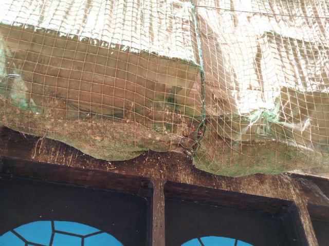 El Partido Cantonal pide la limpieza de excrementos y basura en los edificios municipales abandonados - 4, Foto 4