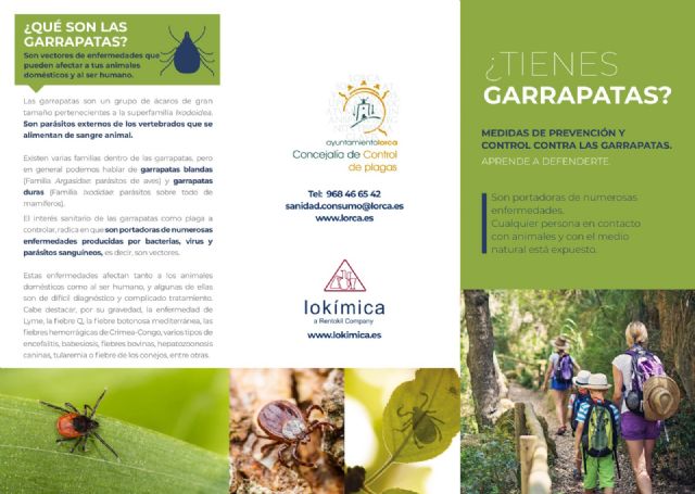 Lorca alerta del aumento de parásitos en primavera y refuerza las recomendaciones para proteger a mascotas y ciudadanos - 4, Foto 4