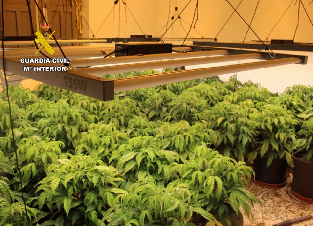 La Guardia Civil desarticula un grupo criminal y detiene a sus 11 miembros por delitos de cultivo y tráfico de droga - 2, Foto 2
