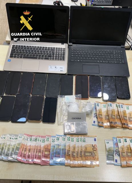 La Guardia Civil desarticula un grupo criminal y detiene a sus 11 miembros por delitos de cultivo y tráfico de droga - 4, Foto 4
