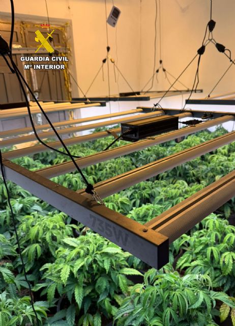 La Guardia Civil desarticula un grupo criminal y detiene a sus 11 miembros por delitos de cultivo y tráfico de droga - 5, Foto 5
